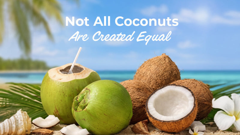 A vibrant tropical beach scene featuring various fresh green and brown coconuts with the text "Not all Coconuts are created equal," highlighting the importance of ingredient sourcing in natural hydration.